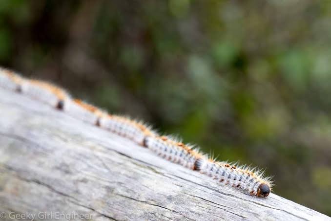 images (54)