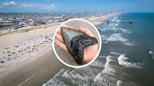 images (15)