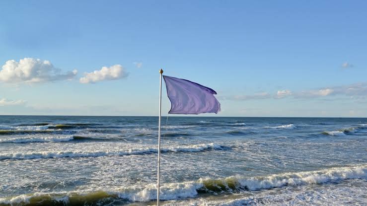 images - 2026-09-04T145504.485
