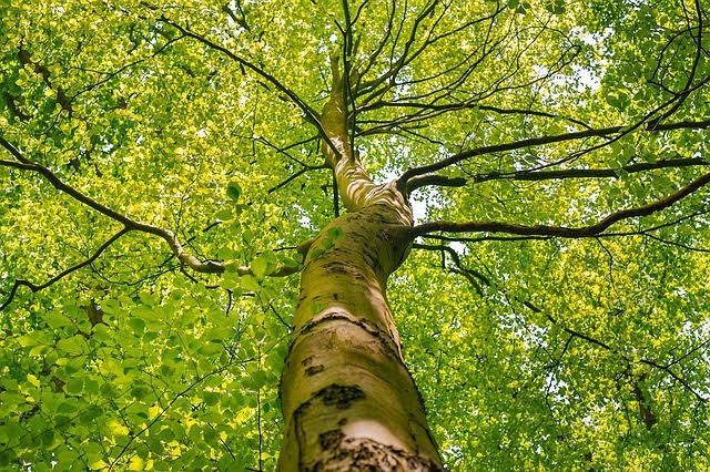 images (57)