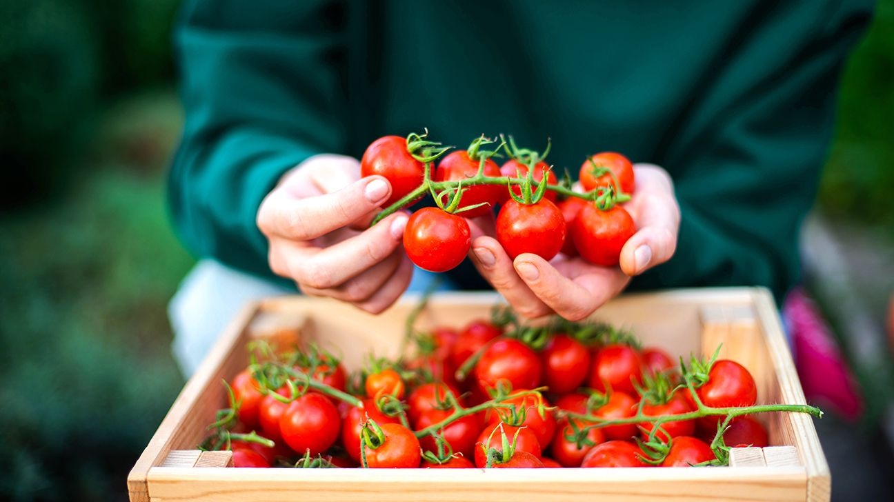 female-holding-tomatoes-1296-728-header