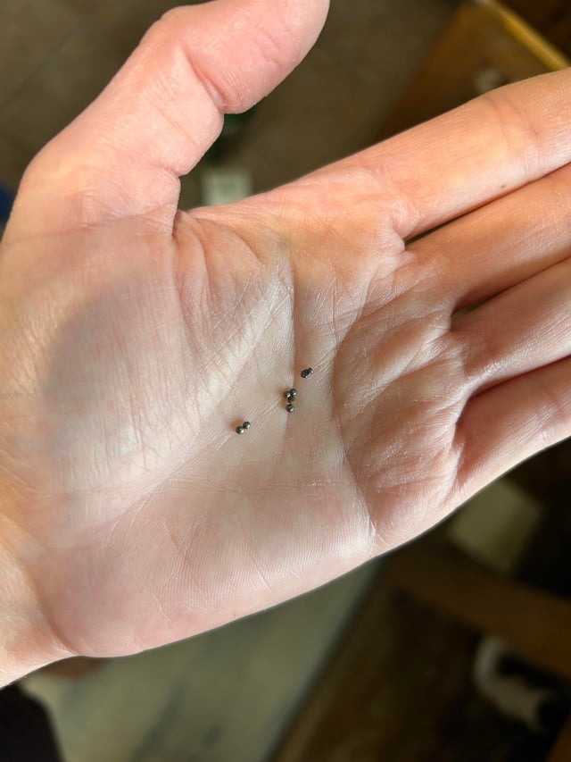 lots-of-tiny-metal-balls-under-kitchen-sink-v0-7w6rvnhf2h8e1